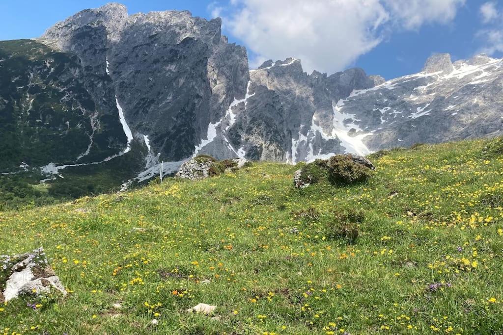 Mountain View Apartment Maria Alm am Steinernen Meer Bagian luar foto